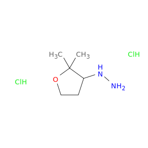 (2,2-Dimethyloxolan-3-yl)hydrazine dihydrochloride