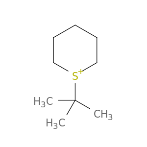 2H-Thiopyranium, 1-(1,1-dimethylethyl)tetrahydro-