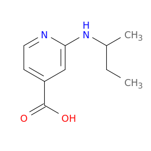 2-(sec-Butylamino)isonicotinic acid