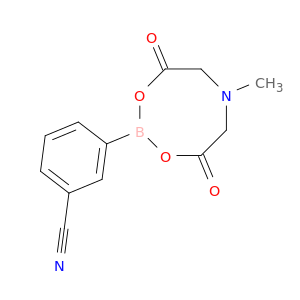3-氰基苯硼酸 MIDA 酯