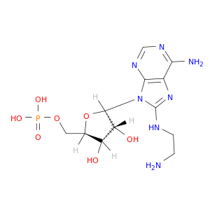 5'-Adenylic acid, 8-[(2-aminoethyl)amino]-