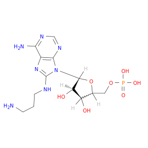 5'-Adenylic acid, 8-[(3-aminopropyl)amino]-