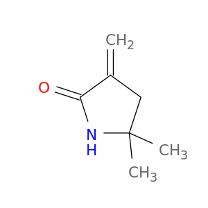 2-Pyrrolidinone, 5,5-dimethyl-3-methylene-