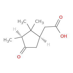 Cyclopentaneaceticacid, 2,2,3-trimethyl-4-oxo-, (1R,3S)-