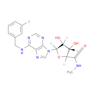 N6-(3-碘苄基)腺苷-5'-N-甲基糖酰胺