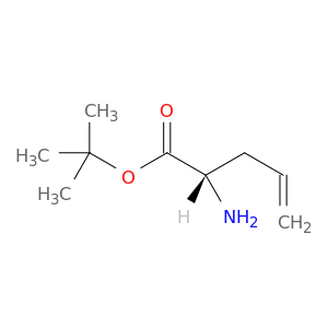 S-烯丙基甘氨酸叔丁酯