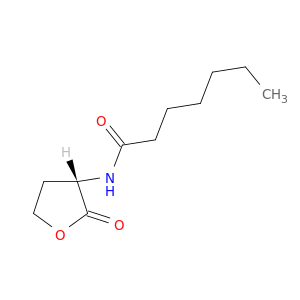 N-heptanoyl-L-Homoserine lactone