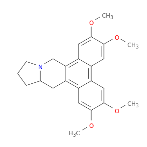 Tylophorine
