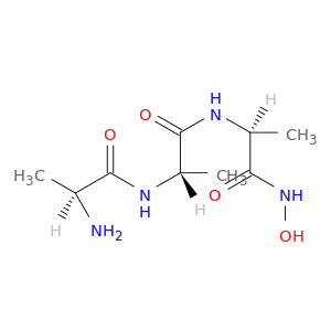 L-Alaninamide, L-alanyl-L-alanyl-N-hydroxy-
