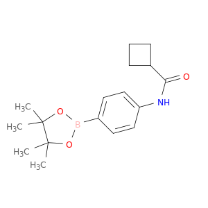 N-(4-(4,4,5,5-tetramethyl-1,3,2-dioxaborolan-2-yl)phenyl)cyclobutanecarboxamide