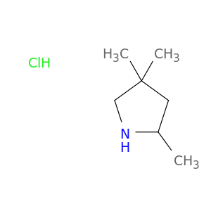 2,4,4-Trimethyl-pyrrolidine Hydrochloride