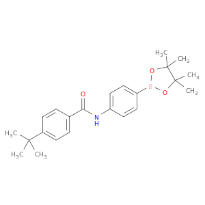 4-(叔丁基)-N-(4-(4,4,5,5-四甲基-1,3,2-二氧苯甲醛-2-基)苯基)苯甲酰胺