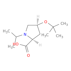 (2S,4S)-4-(tert-Butoxy)-1-isopropylpyrrolidine-2-carboxylic acid