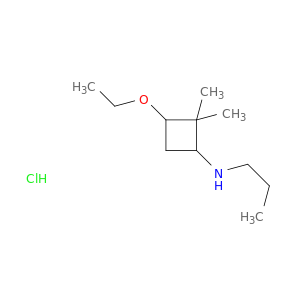 3-ethoxy-2,2-dimethyl-N-propylcyclobutan-1-amine hydrochloride
