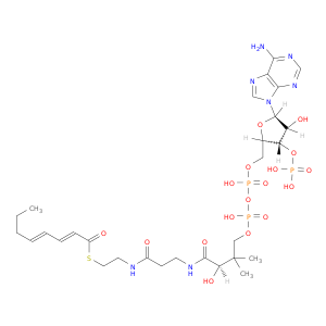 辅酶A,S-(2E,4E)-2,4-十八烯酸盐