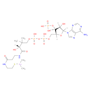 Coenzyme A,S-(dimethylarsinite) (9CI)
