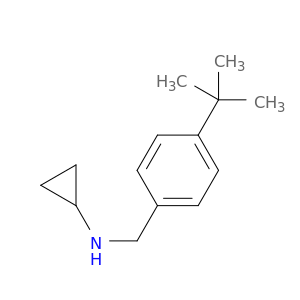 Benzenemethanamine,N-cyclopropyl-4-(1,1-dimethylethyl)-