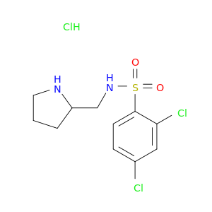 2,4-二氯-N-吡咯烷-2-基甲基-苯磺酰胺盐酸盐
