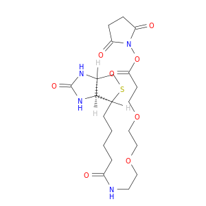 9-(生物素氨基)-4,7-二氧杂壬酸N-琥珀酰亚胺酯