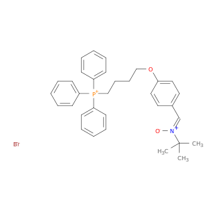 MitoPBN