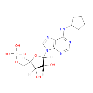 N-环戊基-5'-腺苷酸