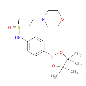 N-[4-(4,4,5,5-四甲基-1,3,2-二氧杂硼杂环戊烷-2-基)苯基]-4-吗啉甲磺酰胺