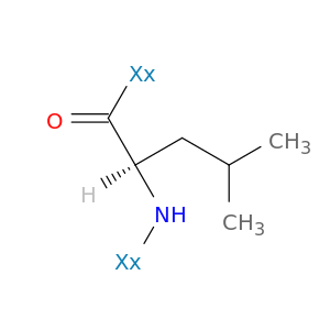 聚-右旋-亮氨酸