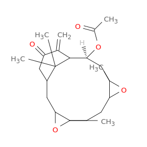 Hypoestoxide, Hypoestes rosea