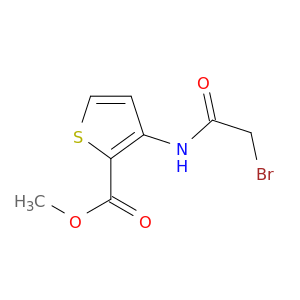 3-[(2-溴乙酰基)氨基]噻吩-2-羧酸甲酯