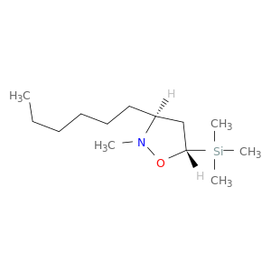 Isoxazolidine, 3-hexyl-2-methyl-5-(trimethylsilyl)-, trans-