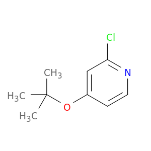 2-氯-4-(1,1-二甲基乙氧基)吡啶