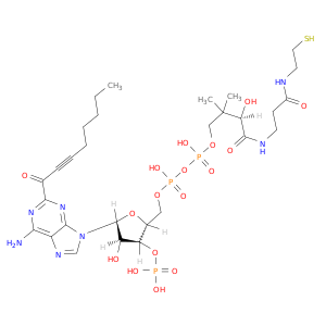 2-OCTYNOYL-COENZYME A
