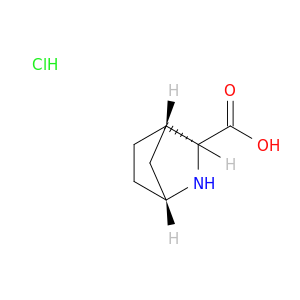 exo-2-Azabicyclo[2.2.1]heptane-3-carboxylic acid hydrochloride