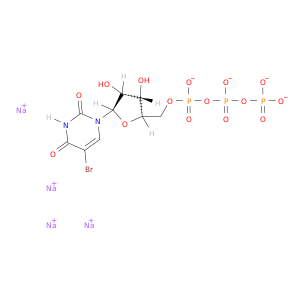 BRUTP*10 MM溶于 TE BUFFER*细胞增殖检测