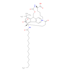 N2-[芴甲氧羰基]-N6-[N-(1-氧代十六烷基)-L-GAMMA-谷氨酰]-L-赖氨酸 1'-叔丁酯