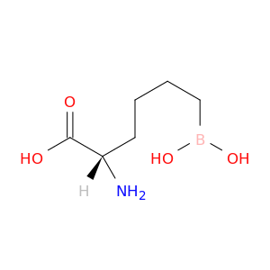 L-Norleucine, 6-borono-