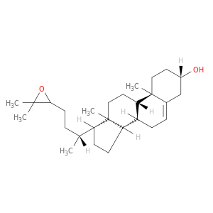 24,25-Epoxycholesterol