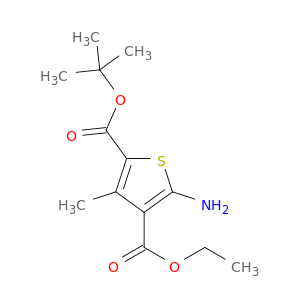 2-叔丁基 4-乙基 5-氨基-3-甲基噻吩-2,4-二羧酸酯