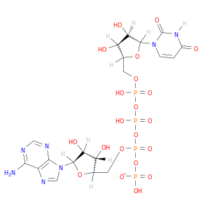[(2r,3s,4r,5r)-5-(6-aminopurin-9-yl)-3,4-dihydroxy-tetrahydrofuran-2-yl]methyl[[[[(2r,3s,4r,5r)-5-(2,4-dioxopyrimidin-1-yl)-3,4-dihydroxy-tetrahydrofuran-2-yl]methoxy-hydroxy-phosphoryl]oxy-hydroxy-phosphoryl]oxy-hydroxy-phosphoryl] hydrogen phosphate