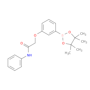 N-苯基-2-(3-(4,4,5,5-四甲基-1,3,2-二氧硼杂环戊烷-2-基)苯氧基)乙酰胺