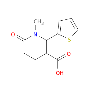 1-methyl-6-oxo-2-(thiophen-2-yl)piperidine-3-carboxylic acid
