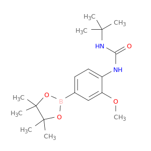 3-甲氧基-4-(叔丁基脲基)苯硼酸频那醇酯