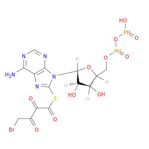 Adenosine5'-(trihydrogen diphosphate), 8-[(4-bromo-2,3-dioxobutyl)thio]- (9CI)