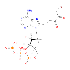 Adenosine5'-(tetrahydrogen triphosphate), 8-[(4-bromo-2,3-dioxobutyl)thio]- (9CI)