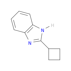 2-环丁基-1H-苯并咪唑