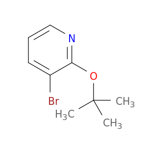 3-溴-2-(叔丁氧基)吡啶