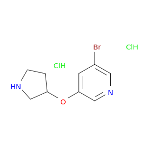 吡啶,3-溴-5-(3-吡咯烷氧基)-,盐酸盐(1：2)