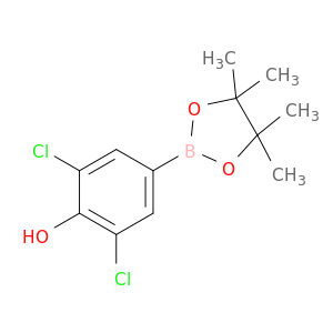 3,5-二氯-4-羟基苯硼酸频哪醇酯