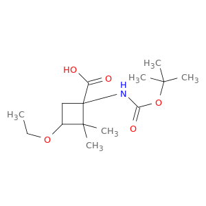 1-{[(tert-Butoxy)carbonyl]amino}-3-ethoxy-2,2-dimethylcyclobutane-1-carboxylic Acid