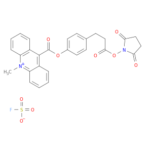 Acridinium, 9-((4-(3-((2,5-dioxo-1-pyrrolidinyl)oxy)-3-oxopropyl)phenoxy)carbonyl)-10-methyl-, fluorosulfate
